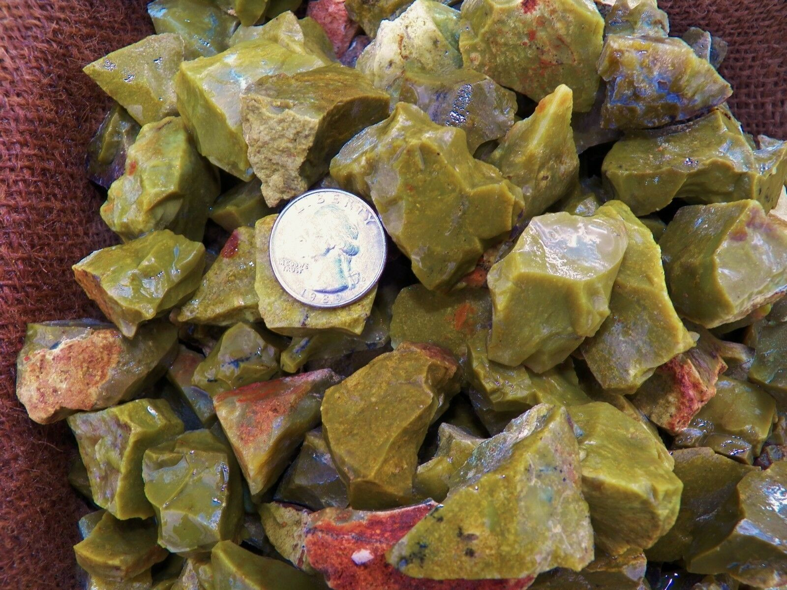 500 Carat Lots of Green Opal Rough - Plus a FREE Faceted Gemstone
