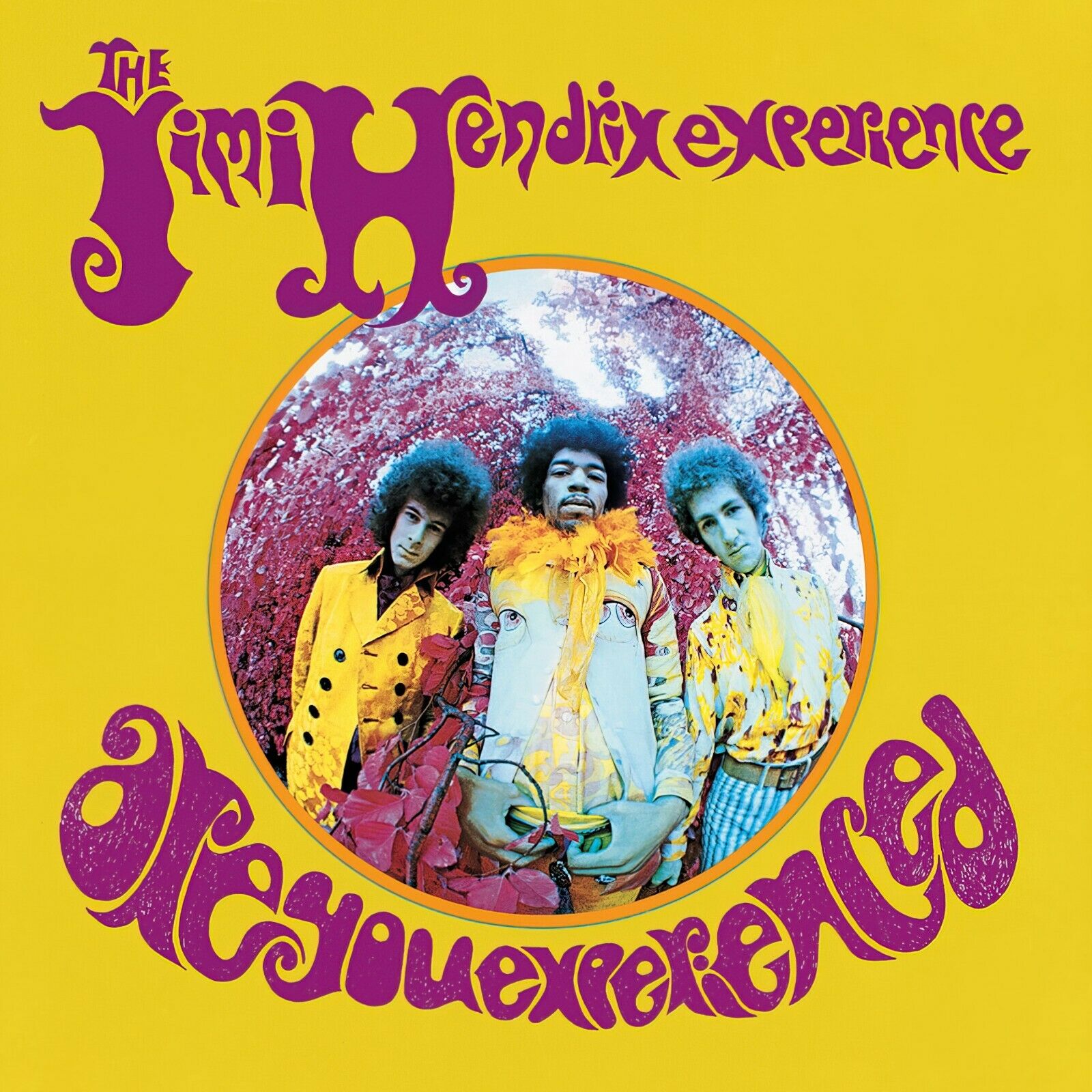 Jimi Hendrix Are You Experienced 12x12 Album Cover Replica Poster Print