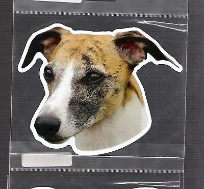 Whippet 4 Inch Face Magnet For Car Or Anything Metal     New