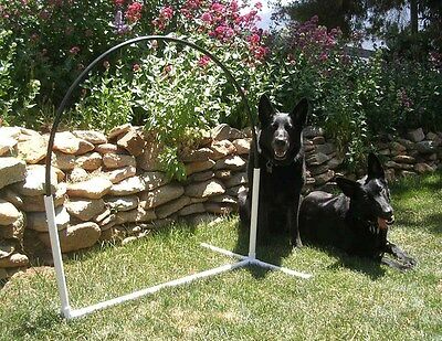 1 Dog Agility Equipment Nadac Hoopers Arched Hoop   Hoops